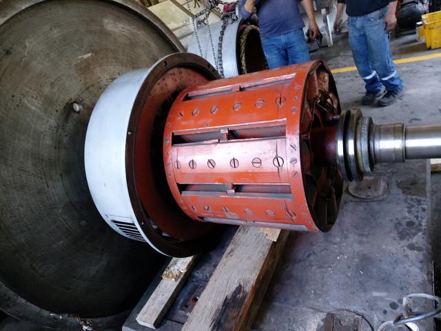 Té del Ecuador 